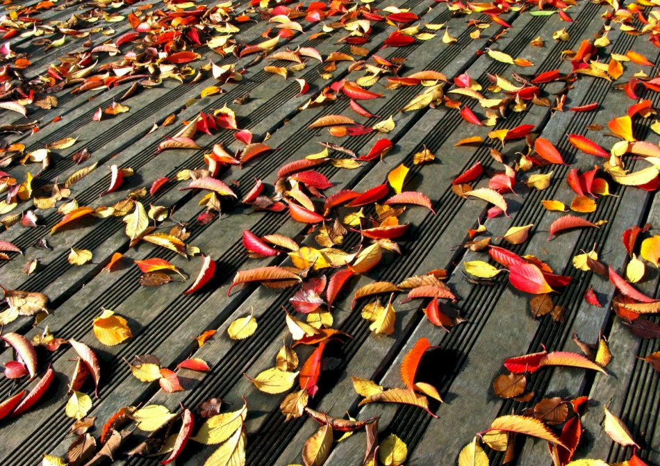 Terrasse en bois glissante : que faire ?